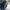MEECEDS C-CLASS W205 DRIVER FRONT DOOR OSF BLUE 2014 ON COMPLETE FMD397
