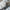MERCEDES BENZ A-CLASS W177 REAR BUMPER 2019 GREY A1778804701 FMX47