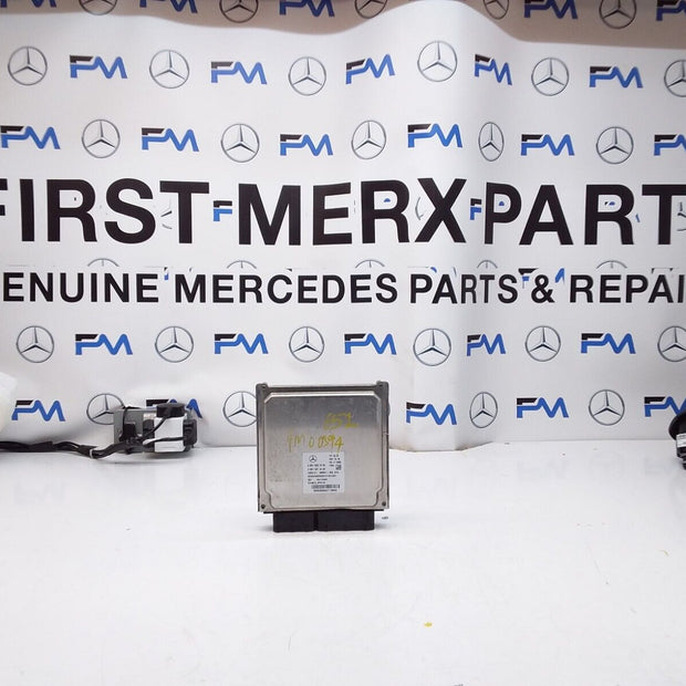 MERCEDES E-CLASS 2012 ENGINE  CONTROL MODULE A6519007003 FM00394