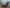 MERCEDES BENZ A-CLASS W177 -  BREAKING/SUSPENSION LEGS (ALL)
