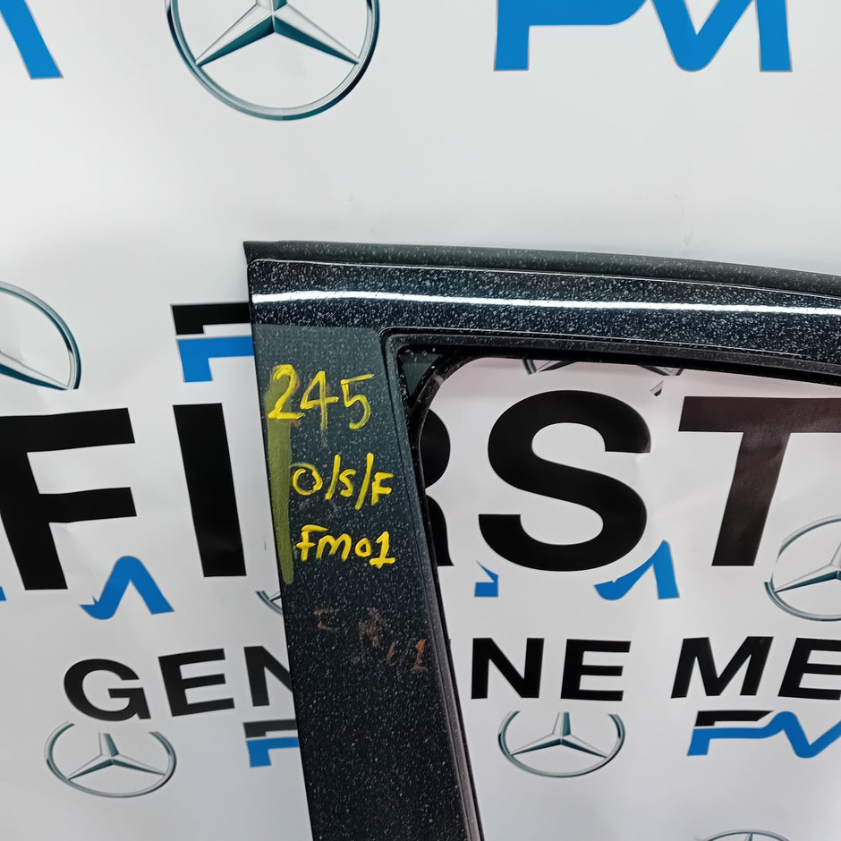 MERCEDES BENZ B-CLASS  W245  DRIVER SIDE FRONT DOOR ( OFF SIDE FRONT ) FM01