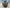 MERCEDES BENZ C CLASS W204 2.1DIESEL 651.911