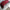 MERCEDES BENZ C-CLASS C205 CP REAR BUMPER 2014 RED FMX46