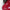 MERCEDES BENZ A-CLASS W176 REAR BUMPER 2012-18 A1768852625 RED FMX30