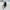 MITSUBISHI OUTLANDER MK3 PASSENGER WING MIRROR NS GREY CAMERA BS 2013 FMM53 (D)