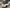 RANGE ROVER SPORT BREAKING / AIRBAGS ( STEERING WHEEL, KNEE, ROOF )
