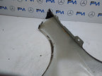 MERCEDES  A-CLASS W177 OS RIGHT DRIVER SIDE WINGS FMW17 A1778890100